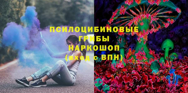 гидра Аркадак