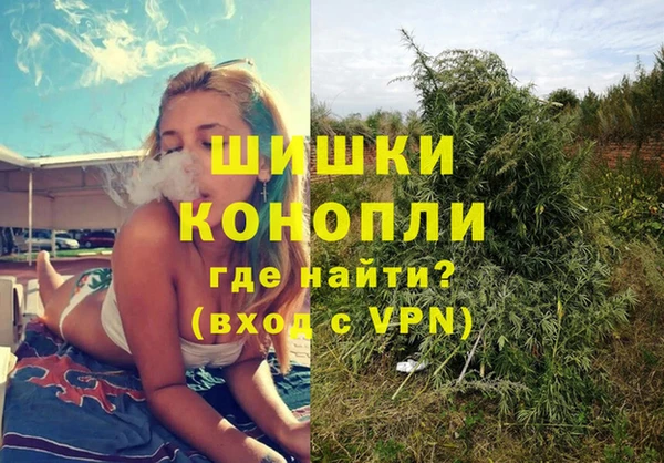 гидра Аркадак