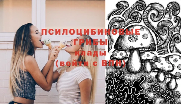гидра Аркадак