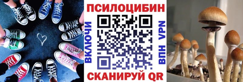 Галлюциногенные грибы ЛСД  наркота  Пучеж 